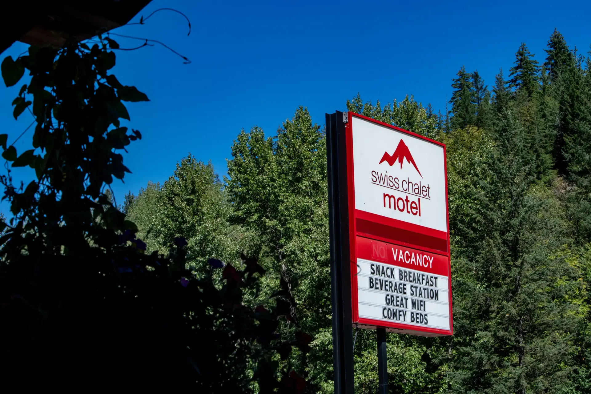 swiss chalet motel 2024 exterior summer 05